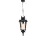 Steady Lighting Landelijke Kroonluchter - Zilver - Glas - E14 - 66.7cm