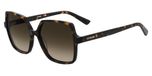 Moschino Love MOL102/S Havana 57/15/140 Lunettes de soleil femme