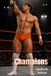 Champions: A Pro Wrestling Novel
