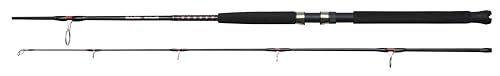 Ugly Stik Bigwater Spinning Hengel, Hengel, Zeevissen, Veelzijdige spinhengel en boothengelserie, zoet en zout water, onbreekbaar ontwerp, Makreel, Bass, Pollack, Wrasse, Assorti, 2.7m, 15-60g
