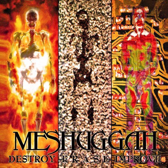 Destroy Meshuggah Destroy Erase Improve (30th Anniversary Edition) CD