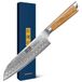 HOSHANHO Santoku Damastmes, 18 cm, professioneel Japans keukenmes van damaststaal met 67 lagen, handvat van olijfhout