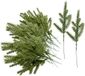 Unyqoos® 60 pièces branches de sapin artificielles