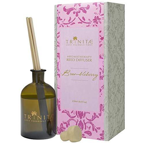 Trinitae Room Diffuser Kit - Brambleberry