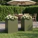 Maison Exclusive - 2 jardinières pour plantes, couleur vert olive, 40 x 30 x 50 cm