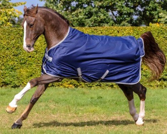 Bucas Regendeken Freedom Turnout Light - Navy/Silver - 215