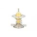THERMOTEC Thermostat d'eau D2M004TT