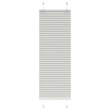 VidaXL Plissé rolgordijn Lichtgrijs 50x150 cm