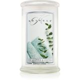 Kringle Candle Grote Geurkaars Eucalyptus Katoen - 2 lonten