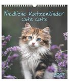 Niedliche Neumann Verlage GmbH & Co. KG Niedliche Katzenkinder 2027