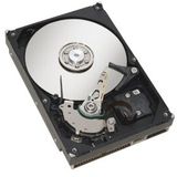 Fujitsu S26361-F3951-L100 disque dur interne 1 To 7200 tr/min 64 Mo 3,5" SATA III