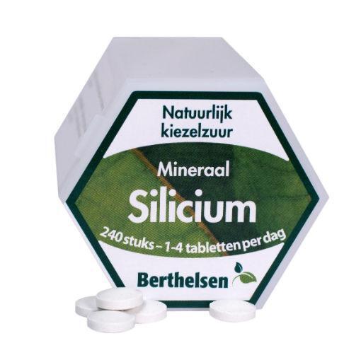 Berthelsen Silicium 240 TB