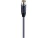Lumberg Automation 21076 Sensor/actuator connector, geassembleerd M23 Aantal polen (sensoren): 12 Stekker, recht 1.00 m