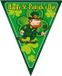 Espa Guirlande Saint Patrick's Day 5 mètre Vert