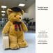Teddy goes to therapy: When the path to General Medicine-, Physio-, Psycho-, Radiation-, Day Surgery Chirurgic-, or Dental Therapy feels difficult. - Paperback