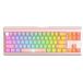 HAVIT Gaming Toetsenbord Wired USB KB896L, RGB, 1.2m, Roze
