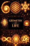 Geometry of Life
