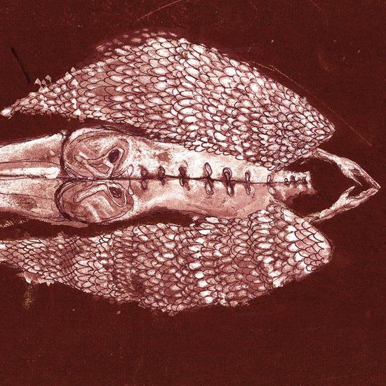 Cerberus Shoal - Homb (2 LP)