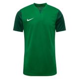 Nike Heren Short Sleeve Top M Nk Df Trophy V Jsy Ss, Pine Groen/Gorge Groen/Gorge Green/Wit, DR0933-302, M
