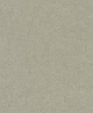 Rasch Behang Concrete 520279