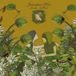 Konkurrent Johnathan Rice - Trouble Is Real (CD)