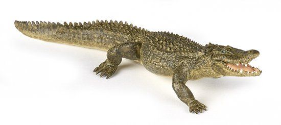 Papo Wild Life Alligator 50254