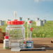 Hydromel kit de démarrage 4 litres