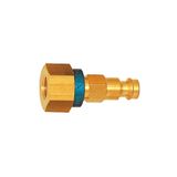 Riegler Unieke nippel NW 5, messing blank, G 1/4 IG, bruin, werkdruk 0-35 bar, medium/omgevingstemperatuur. -20 °C tot 100 °C
