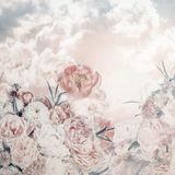 Komar Fotobehang - Blossom Clouds 250x250cm - Vliesbehang