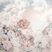Komar Fotobehang - Blossom Clouds 250x250cm - Vliesbehang