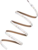 Ledvance LED Strip 5M | 43W 6500K 24V IP67