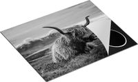 Chefcare Inductie Beschermer Schotse Hooglander Zwart Wit 65x55 cm