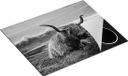 Chefcare Inductie Beschermer Schotse Hooglander Zwart Wit 65x55 cm
