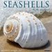 Seashells Willow Creek Press Seashells 2027 12 X 12 Wall Calendar