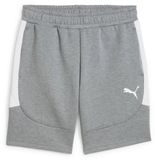 Puma Shorts teamEVOSTRIPE L Grijs