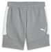 Puma Shorts teamEVOSTRIPE L Grijs
