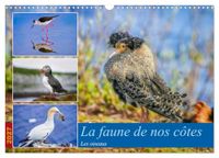 La Calvendo La faune de nos côtes les oiseaux (Calendrier mural 2027 DIN A3 vertical), CALVENDO calendrier mensuel