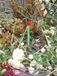 Nature Compost thermometer 38cm