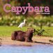 Capybara Wall Calendar 2027: A Happy, Capy Year