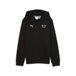 PUMA BMW M MOTORSPORT Essentials sweat à capuche pour jeunes 116, Noir