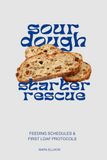 Sourdough Starter Rescue: Troubleshooting, Feeding Schedules & First-Loaf Protocols