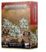 Games Workshop Warhammer Age of Sigmar: Maggotkin of Nurgle (Nurglings)