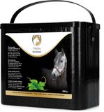 Excellent Horse Herbs Brandnetel - 800 g