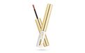 PUPA Milano Gold Me! Silky Lip Powder 002 Cherry Powder