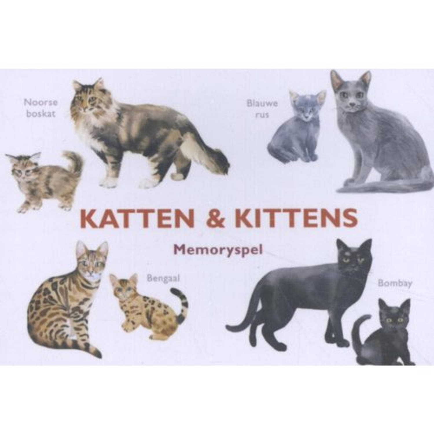 Paagman Katten & Kittens