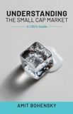 Understanding Libri GmbH Understanding the Small Cap Market, A CEO's Guide