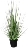 Mica Decorations Kunstplant - siergras - groen - H53 x D30 cm
