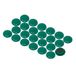 Kleine Magnet Expert Kleine planning en magnetische instructies, groen (1 verpakking met 24 stuks)