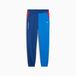 PUMA BMW M Motorsport Essentials broek voor kinderen en jongeren