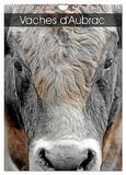 Vaches Calvendo Vaches d'Aubrac (Calendrier mural 2027 DIN A4 horizontal)